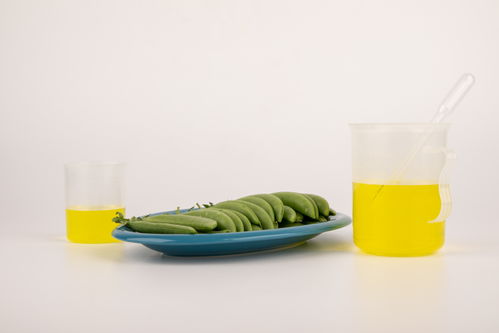 从甜豆到餐桌 农业科技、食品安全与视觉艺术的融合之旅